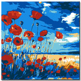 Painting by numbers poppy field shipping from DE-50*50cm-with stretcher frame-with covering service